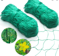 Cadre d'escalade robuste 4x100m, support de filet de treillis de jardin pour plantes de vigne grimpantes