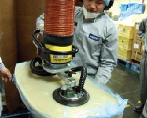 Levantadores de vacío para manejo de materiales Saco Levantamiento de vacío y división Levantamiento de goma - Product Image 3