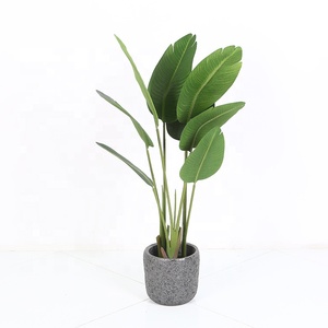 Intérieur faux <span class=keywords><strong>voyageur</strong></span> <span class=keywords><strong>banane</strong></span> jardin decorationartificial bananier - Product Image 4