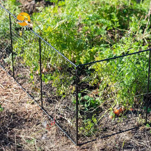 Cloches en fil Samp gratuites Cloche en fil de poulet à l'épreuve des écureuils Empêcher les animaux de <span class=keywords><strong>manger</strong></span> des plantes Couvercle en métal Protection de la cage - Product Image 4