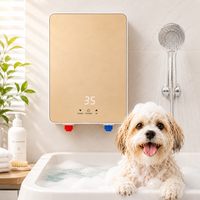 Chauffe-eau électrique instantané sans réservoir pour animaux de compagnie 3500W 220V, boîtier en plastique, usage domestique, machine à eau chaude, Geyser