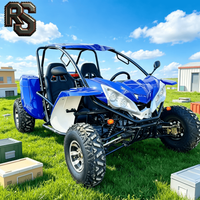 Buggy tout-terrain Raxen avec logo personnalisé, 4x4, 300cc, moteur à essence, pour le tout-terrain