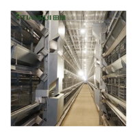 Cages en batterie pour poulets pondeurs de ferme avicole (10 000-100 000 unités) – Cages pour animaux de ferme avicole