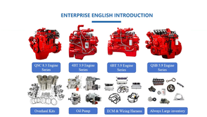 Motore Diesel Cummins 4BT3.9-C100 ad Alte Prestazioni per Macchinari Pesanti - Product Image 6