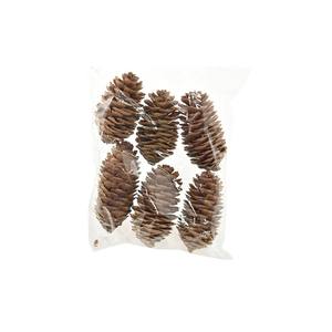 ENSEMBLE DE 6 COGONDES ARTIFICIELLES DE PIN DE COULEUR NATURELLE - Product Image 1