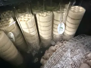 高品質 ロータス セラミック バイオ 多孔質 ろ材 生物学的 リング 水槽用 硝化細菌 バイオサイクルマテリアル - Product Image 6