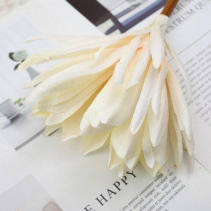 Cereus Notturno Fiorito <span class=keywords><strong>di</strong></span> <span class=keywords><strong>Notte</strong></span>, <span class=keywords><strong>Fiore</strong></span> Artificiale all'Ingrosso per Decorazioni Domestiche - Product Image 3