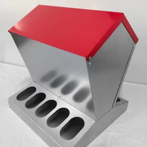 Chicken Feeding Equipment Automatic Feeding System Painted Galvanized Chicken Feede