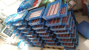 Luz LED para Chaleco Salvavidas HUAYINGTE con Certificación CCS/<span class=keywords><strong>MED</strong></span>/USCG, Alimentada por Batería de Litio de 3.0V, Intensidad de 0.75cd, Activación por Agua, 50-70 - Product Image 4