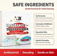 Bloc purificateur sanitaire pour toilettes, nettoyage continu pour l'entretien quotidien de la salle de bain, directement de l'usine