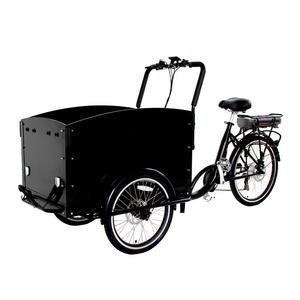 Vélo <span class=keywords><strong>cargo</strong></span> électrique à trois roues le plus vendu, vélo <span class=keywords><strong>cargo</strong></span> pour chien, motocyclette d'<span class=keywords><strong>occasion</strong></span>, vélo électrique urbain, style hollandais - Product Image 1