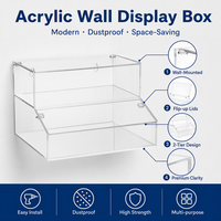 Boîte de présentation murale en acrylique transparente à 2 niveaux avec couvercle rabattable, gain de place, idéale pour miniatures, cosmétiques et objets de collection – Vente directe usine