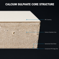 Suelo Elevado Antiestático de Sulfato de Calcio para Centro de Datos, 600x600x32mm, Revestimiento HPL, en Stock, Entrega en 7-15 Días a Medio Oriente