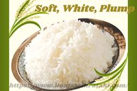 Comida rápida Coreana de alta calidad lista para comer comida de arroz instantánea a granel OEM en un cuenco arroz precocinado