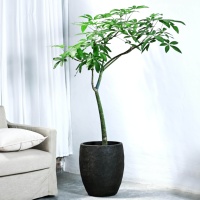 Pot de fleurs circulaire haut de gamme en ciment et argile de magnésium, fait main, style vintage nordique, grand format, pour Monstera