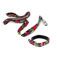 Ensemble laisse et collier pour chien en sangle de polyester douce et confortable, imprimé motif, écologique, tendance, fabriqué en TW