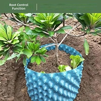 Pot Pembibitan PET Ramah Lingkungan Biodegradable Shandong dengan Lubang Drainase untuk Menyemai Bibit Tanaman, Pohon Buah, Bonsai, dan Bunga 5