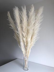S02208 all'ingrosso pampa erba uk naturale reale piuma pampa erba decor canna secca grande erba secca pampa per fiori organizzare - Product Image 6