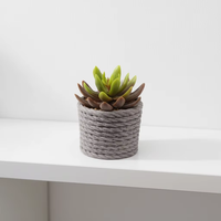 Mini plante succulente artificielle en forme de rosette dans un pot texturé tressé, fausse verdure en pot pour la décoration de la maison, du bureau, du bureau, de la table