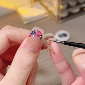 Nueva Serie de Arte de Uñas Estilo INS con Pintura al Óleo de Jardín, Pedrería y Pequeños Pétalos para Manicura, Decoraciones Especiales para Joyería - Product Image 5