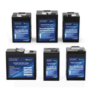 72V E-bike accu 2kW 3kW 4kW 5kW 24V 36V 48V 60V 72V 10Ah 20Ah 30Ah 80Ah Lithium-ion accu's Elektrische scooter accu 48V - Product Image 4