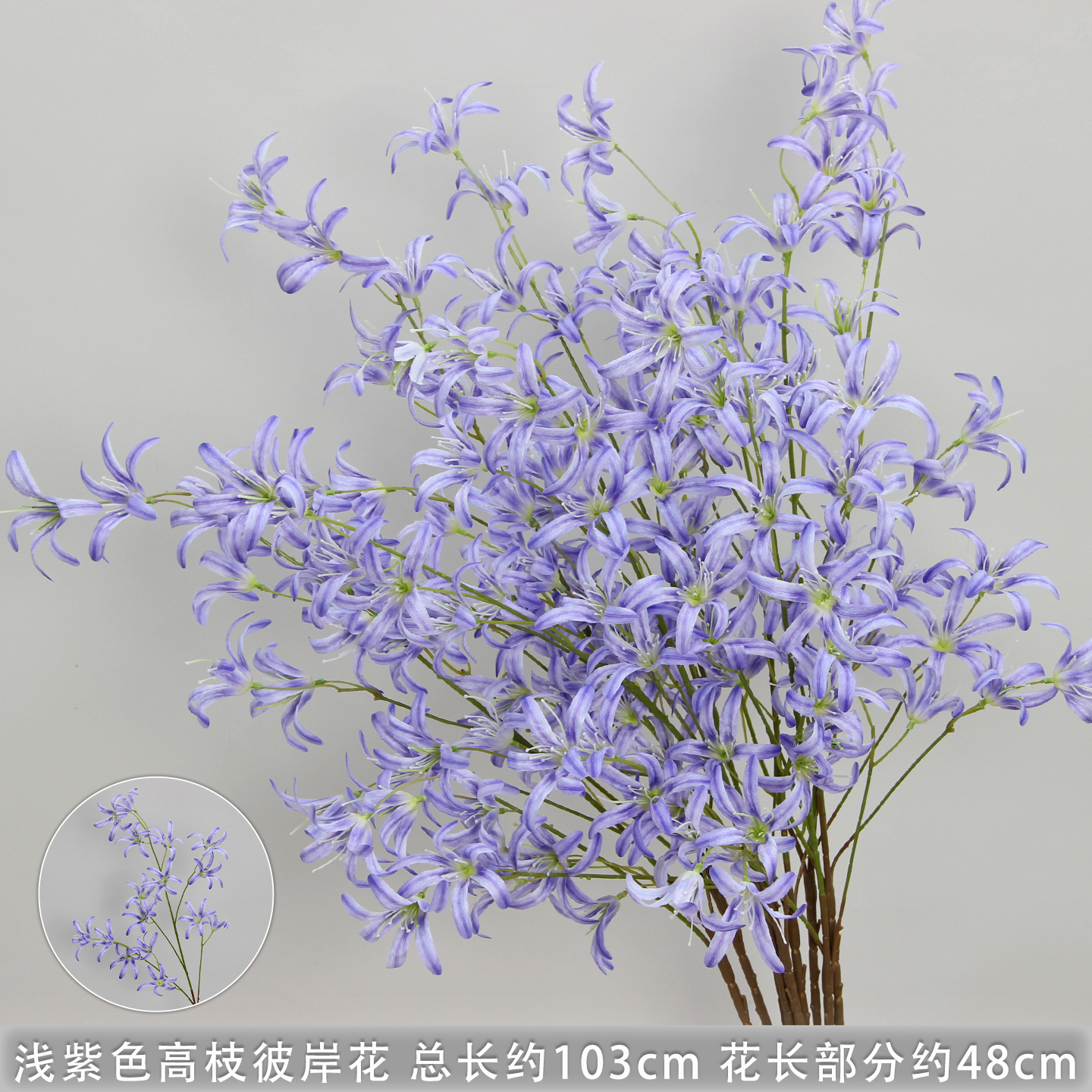 Light purple high-branched spider lily branches