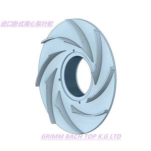 Pompe centrifuge Grunbach BAC, hauteur de refoulement 100m, en acier inoxydable, pompe à eau bleue, entraînement magnétique, alimentation électrique - Product Image 5