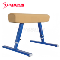 Barres parallèles de gymnastique HAOGYM, barres parallèles scolaires, haute qualité