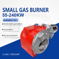 Brûleur à gaz naturel/GPL monostade série E-Gas 250P, brûleur à vapeur industriel, équipement de combustion, pièces de chaudière