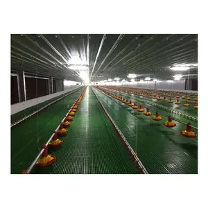 China Factory Supply Moderne Hühnerstall, automatische Geflügelfarm zum Verkauf