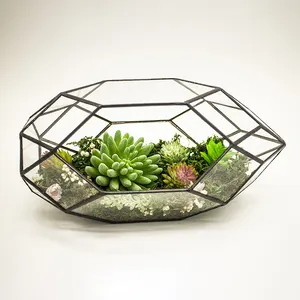 Vente en gros, Long polygone artificiel en métal noir, verre, plantes succulentes, Terrarium pour intérieur, décoration de table, Guirlande, Terrario, Sombreros