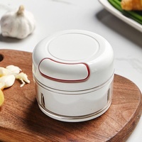 Mini presse-purée d'ail manuel de cuisine