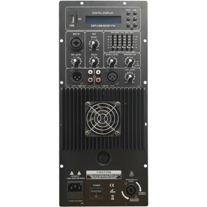 <b>Speaker</b> <b>Amplifier</b> Module 250W with for FM Radio DSP Effects Made in Italy - Product Image 1