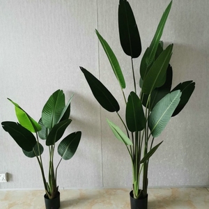 Linwoo Bán Buôn Màu Xanh Lá Cây Nhà Máy Giả Cây Chuối Cây Bonsai <span class=keywords><strong>180Cm</strong></span> Trang Trí Trong Nhà Khổng Lồ Cây Nhân Tạo - Product Image 3