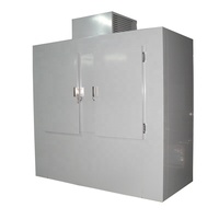 Congélateur vertical commercial grande capacité à 2 portes pleines, refroidissement direct mural, pour extérieur, fabrication sur mesure