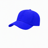 Gorra de Béisbol con Logotipo Personalizable, para Hombre y Mujer, Gorra Casual de Visera Curva para Turismo, Sombrero para el Sol para Voluntarios