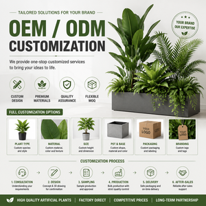 180cm Artificial <strong>Olive</strong> <strong>Tree</strong> Faux Potted <strong>Olive</strong> <strong>Tree</strong> with Branches and Fruits Artificial <strong>Trees</strong> for Indoor Home Office Decor - Product Image 5