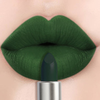HUASURV Vente en gros 2 bâtons de rouge à lèvres mat à haute teneur en pigments marque privée rouge à lèvres vert hydratant naturel longue durée