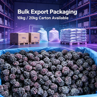 IIQF Diepvries Zwarte Bessen, Gehele Diepvries Zwarte Bessen voor Sap, Jam, Bakkerijproducten, Yoghurt, Desserts en Voedingsmiddelenfabrieken, Bulk Export