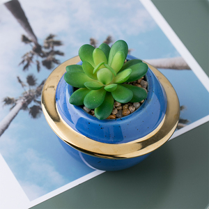 <span class=keywords><strong>Plantes</strong></span> artificielles en céramique en forme <span class=keywords><strong>de</strong></span> petites planètes, <span class=keywords><strong>décoration</strong></span> <span class=keywords><strong>de</strong></span> <span class=keywords><strong>salle</strong></span> <span class=keywords><strong>de</strong></span> bains, maison, nouveau Design, 2020 - Product Image 3