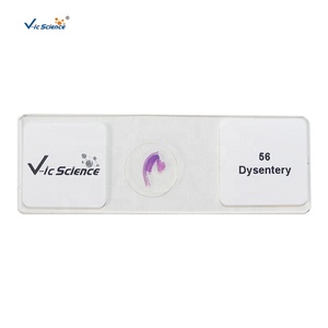 50の人間の一般的な病理学および動物の病理学の固定セットは、教育医学の供給のためのマイクロスコペスライドを準備しました - Product Image 1