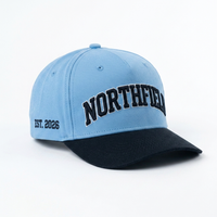 Gorra de Béisbol Personalizada Vintage con Bordado 3D en Relieve, de Dos Tonos, 5 Paneles, Visera Curva y Estructurada, Venta al Por Mayor