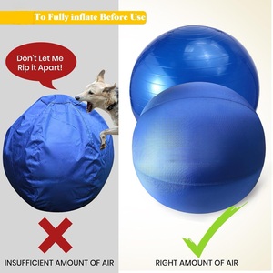 Washable Reinforced Nylon <strong>Herding</strong> Ball Cover Anti-scratch Protective Yoga Ball Cover - Product Image 6
