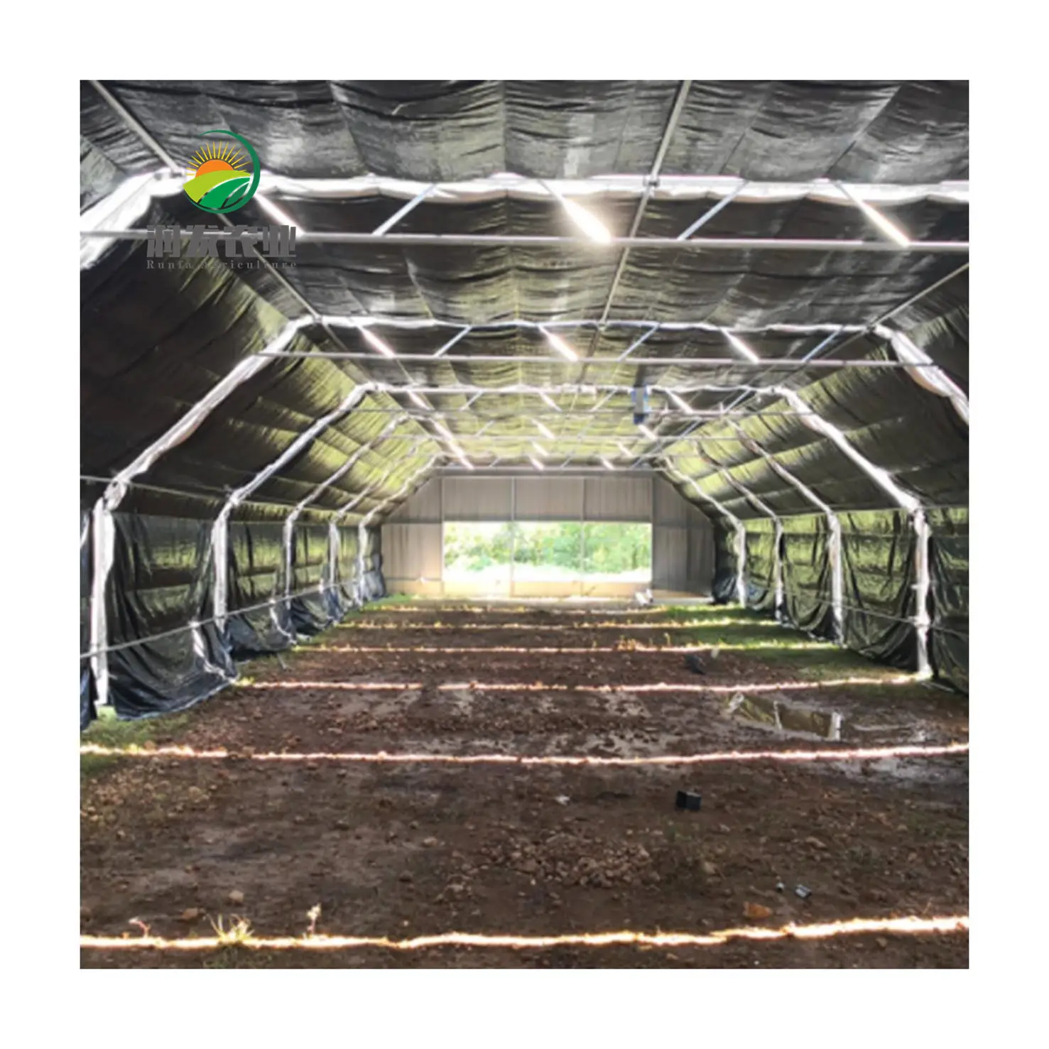 野菜を植えるためのトンネル自動停電プラスチックフィルム温室光剥がれ温室