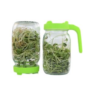 Vaso di vetro macchina per cavoli con schermo Base di vetro per la coltivazione di verdure per la gelatina torta di zucchero cibo per bambini gomma da masticare - Product Image 3