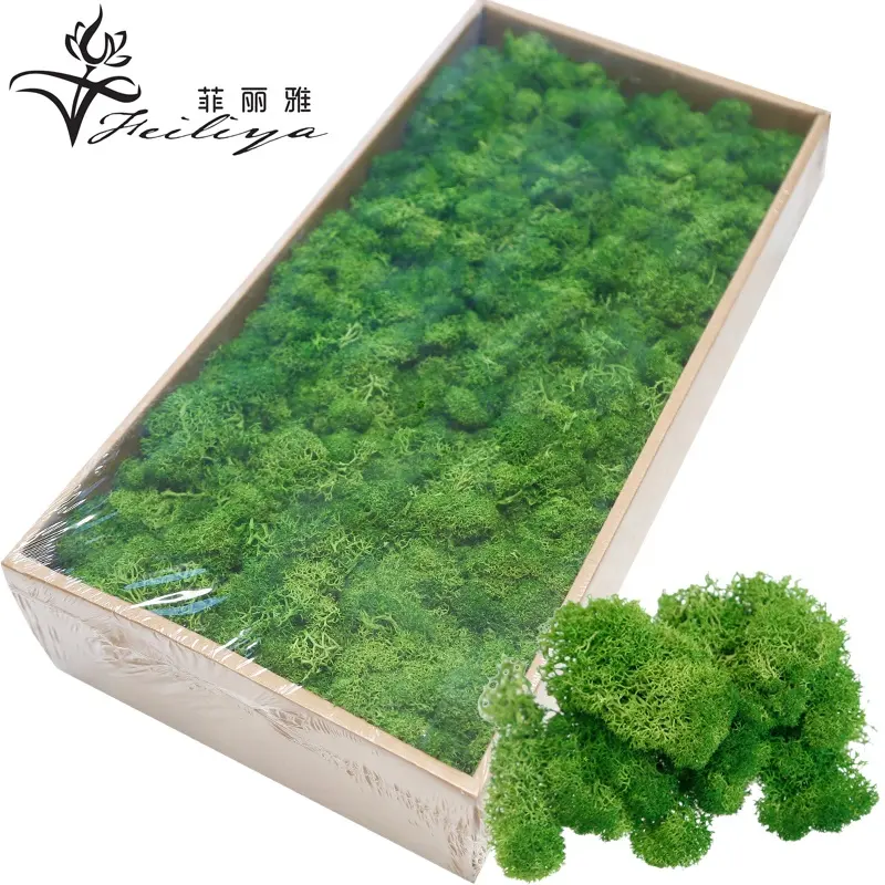 Высококачественный натуральный оленевый мох Юньнань, сохраненный мягкий мох для украшения