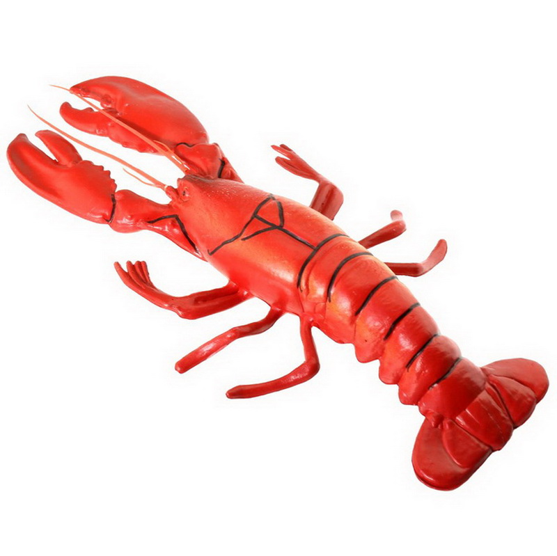 Aragosta da 48 cm-Animale-002
