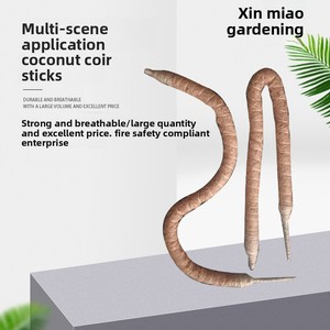 Bâtons de coco de forme irrégulière pouvant être utilisés dans divers contextes, pour soutenir les treillis et les plantes grimpantes (<span class=keywords><strong>lierre</strong></span> vert). - Product Image 3
