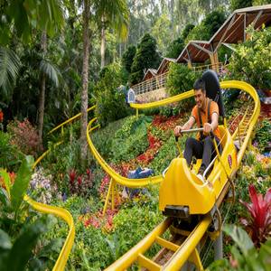 Attraction de fête foraine best-seller à vendre, jeux de parc d'<span class=keywords><strong>attractions</strong></span>, grand roller coaster superposé pour grand parc d'<span class=keywords><strong>attractions</strong></span> en plein air - Product Image 3