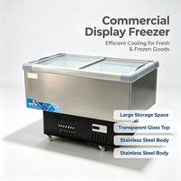 Congélateur d'îlot commercial à réfrigérant R290, porte vitrée à température unique pour magasin de proximité, vitrine de produits surgelés
